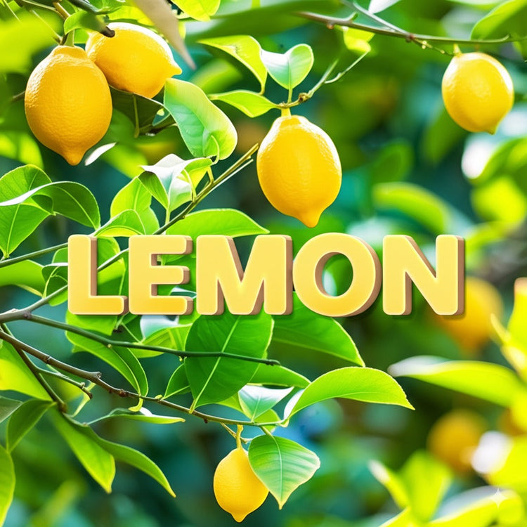 Lemon Chocolate Collection