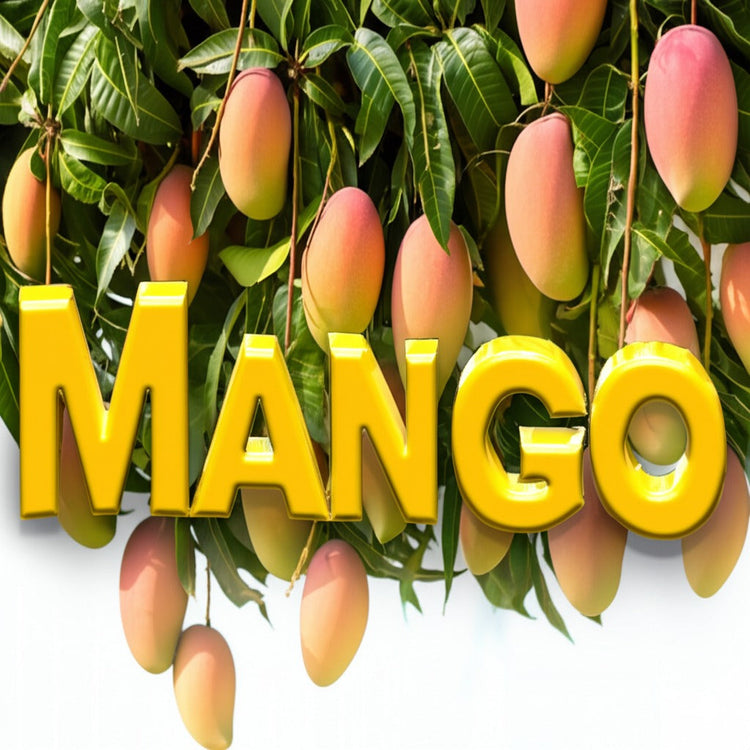 Mango Chocolate Collection