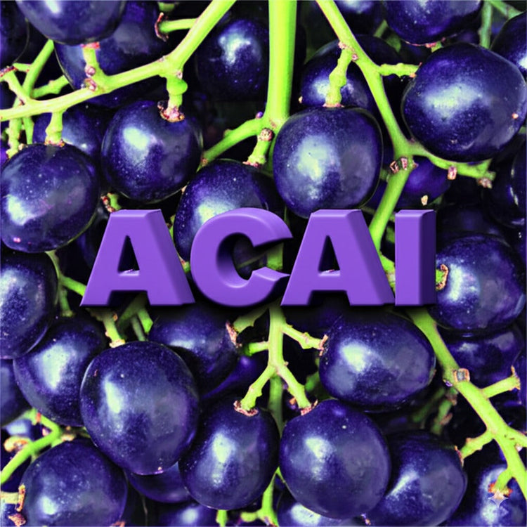 Acai Chocolate Collection