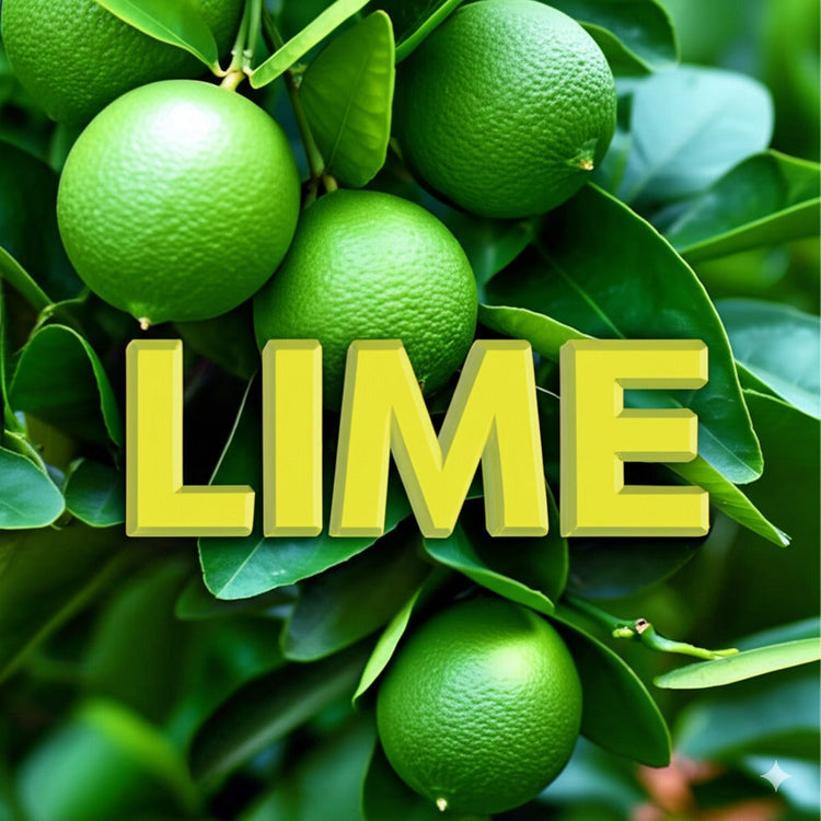Lime Chocolate Collection