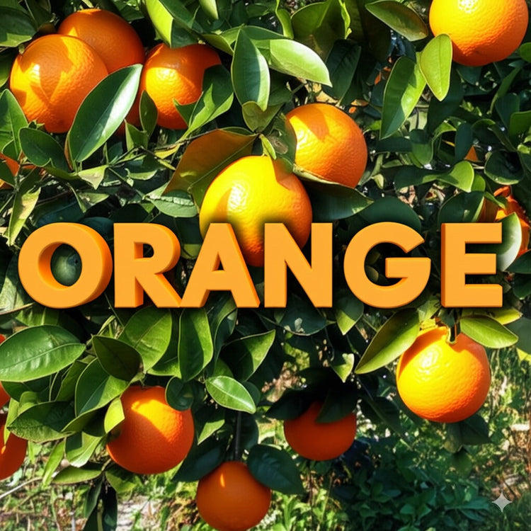 Orange Chocolate Collection