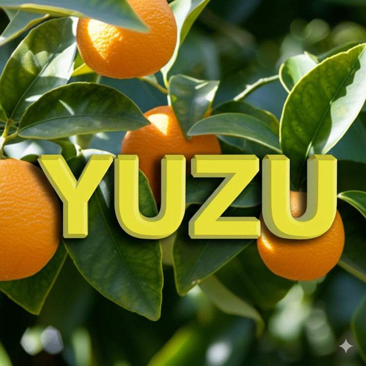 Yuzu Chocolate Collection
