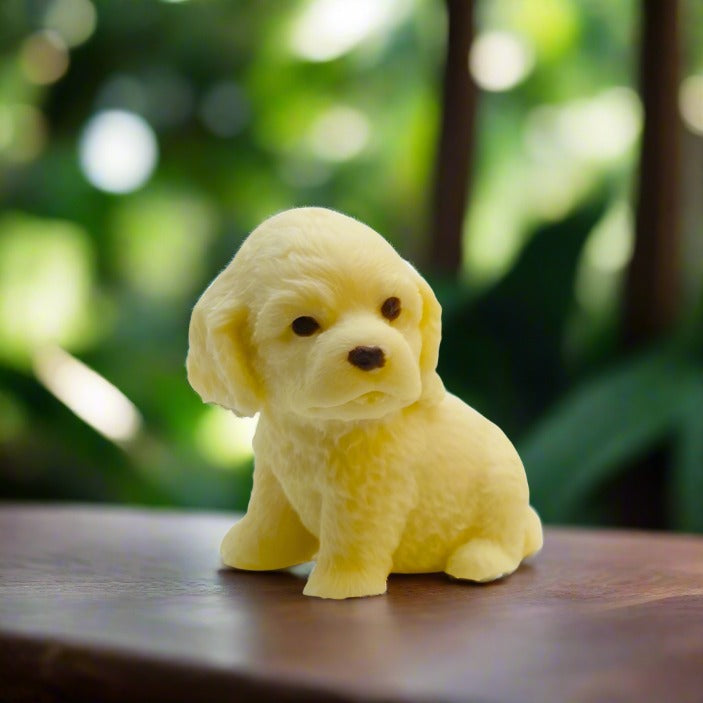 White Chocolate Puppy
