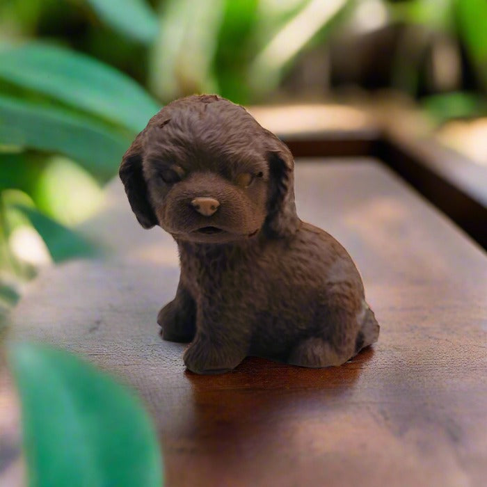 White Chocolate Puppy